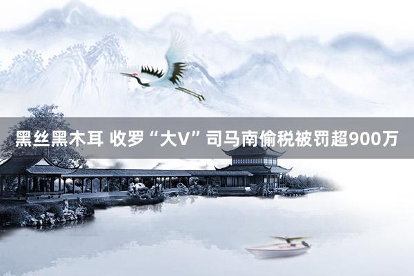 黑丝黑木耳 收罗“大V”司马南偷税被罚超900万