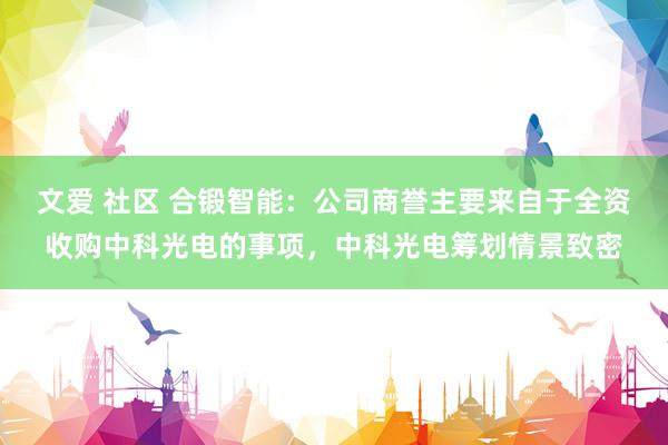 文爱 社区 合锻智能：公司商誉主要来自于全资收购中科光电的事项，中科光电筹划情景致密