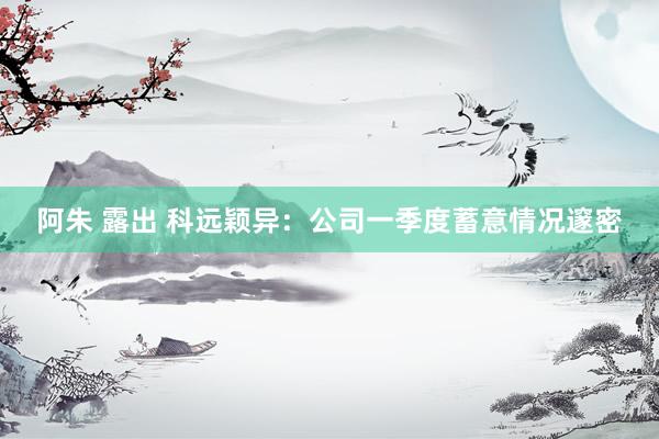 阿朱 露出 科远颖异：公司一季度蓄意情况邃密