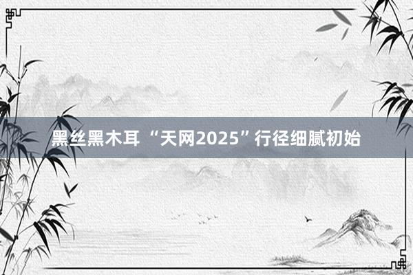 黑丝黑木耳 “天网2025”行径细腻初始