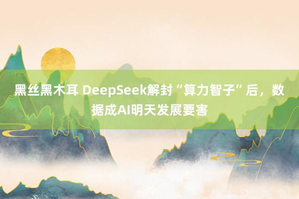 黑丝黑木耳 DeepSeek解封“算力智子”后，数据成AI明天发展要害
