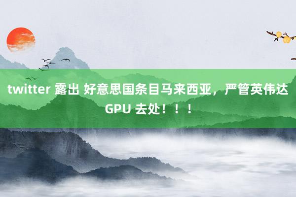 twitter 露出 好意思国条目马来西亚，严管英伟达GPU 去处！！！