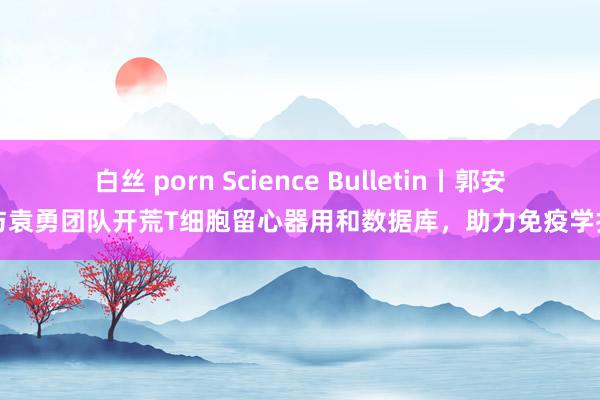 白丝 porn Science Bulletin丨郭安源与袁勇团队开荒T细胞留心器用和数据库，助力免疫学扣问