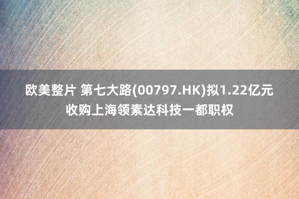 欧美整片 第七大路(00797.HK)拟1.22亿元收购上海领素达科技一都职权