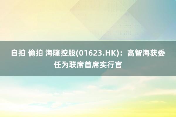 自拍 偷拍 海隆控股(01623.HK)：高智海获委任为联席首席实行官
