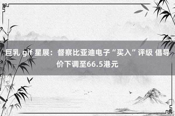 巨乳 gif 星展：督察比亚迪电子“买入”评级 倡导价下调至66.5港元