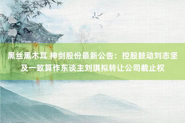 黑丝黑木耳 神剑股份最新公告：控股鼓动刘志坚及一致算作东谈主刘琪拟转让公司截止权