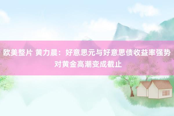 欧美整片 黄力晨：好意思元与好意思债收益率强势 对黄金高潮变成截止