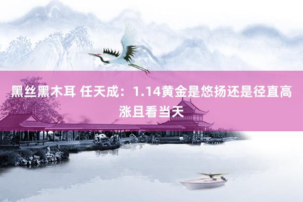 黑丝黑木耳 任天成：1.14黄金是悠扬还是径直高涨且看当天