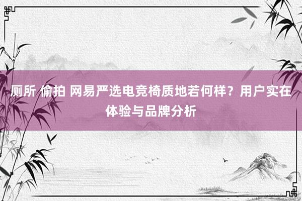 厕所 偷拍 网易严选电竞椅质地若何样？用户实在体验与品牌分析
