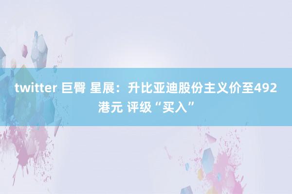 twitter 巨臀 星展：升比亚迪股份主义价至492港元 评级“买入”