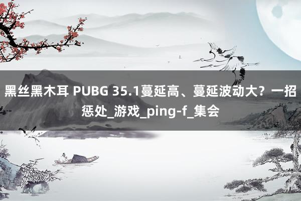 黑丝黑木耳 PUBG 35.1蔓延高、蔓延波动大？一招惩处_游戏_ping-f_集会