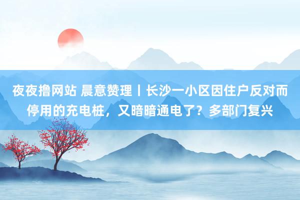 夜夜撸网站 晨意赞理丨长沙一小区因住户反对而停用的充电桩，又暗暗通电了？多部门复兴