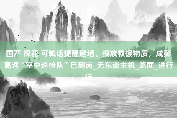 国产 探花 可喊话提醒避堵、投放救援物质，成彭高速“空中巡检队”已到岗_无东谈主机_路面_进行