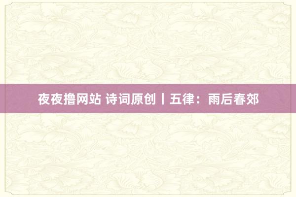 夜夜撸网站 诗词原创丨五律：雨后春郊