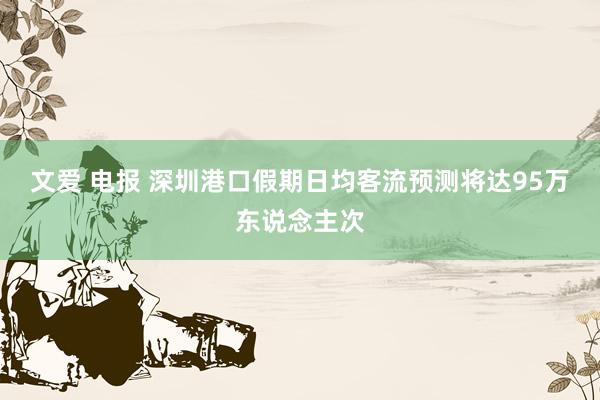 文爱 电报 深圳港口假期日均客流预测将达95万东说念主次