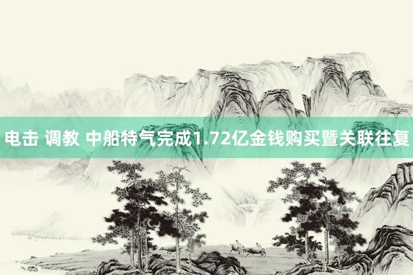 电击 调教 中船特气完成1.72亿金钱购买暨关联往复