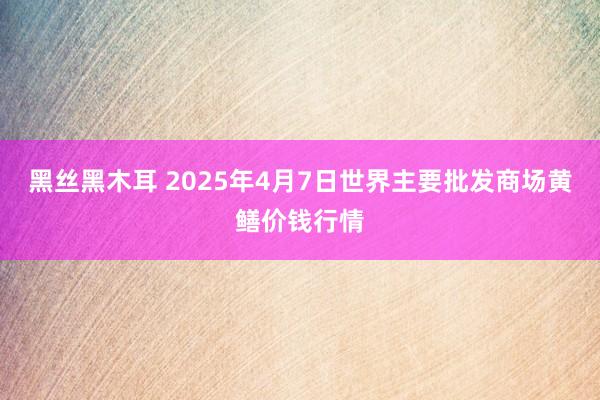黑丝黑木耳 2025年4月7日世界主要批发商场黄鳝价钱行情