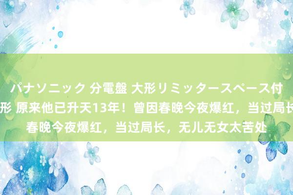 パナソニック 分電盤 大形リミッタースペース付 露出・半埋込両用形 原来他已升天13年！曾因春晚今夜爆红，当过局长，无儿无女太苦处
