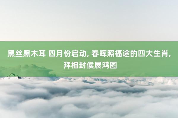 黑丝黑木耳 四月份启动， 春晖照福途的四大生肖， 拜相封侯展鸿图