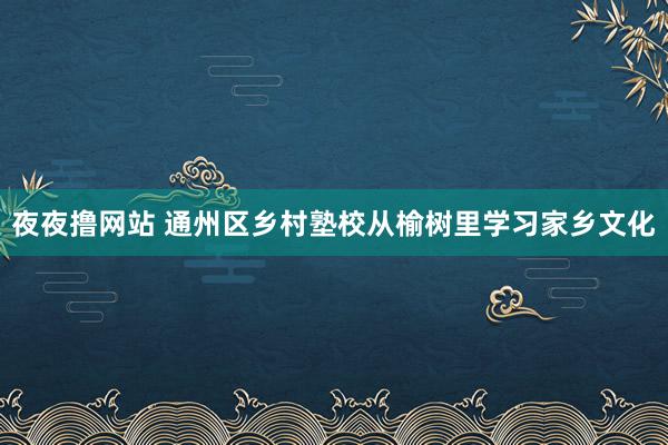 夜夜撸网站 通州区乡村塾校从榆树里学习家乡文化