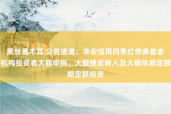 黑丝黑木耳 公告速递：华安信用四季红债券基金暂停机构投资者大额申购、大额挽反转入及大额依期定额投资