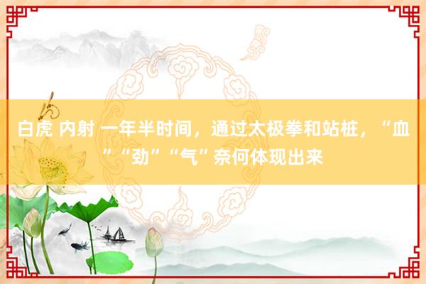 白虎 内射 一年半时间，通过太极拳和站桩，“血”“劲”“气”奈何体现出来