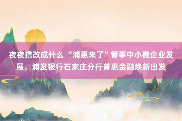 夜夜撸改成什么 “浦惠来了”管事中小微企业发展，浦发银行石家庄分行普惠金融焕新出发
