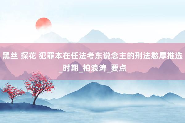 黑丝 探花 犯罪本在任法考东说念主的刑法憨厚推选_时期_柏浪涛_要点