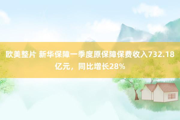 欧美整片 新华保障一季度原保障保费收入732.18亿元，同比增长28%