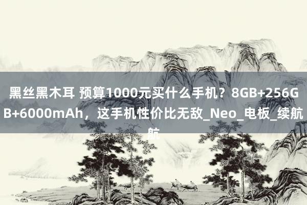 黑丝黑木耳 预算1000元买什么手机？8GB+256GB+6000mAh，这手机性价比无敌_Neo_电板_续航