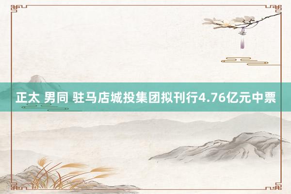 正太 男同 驻马店城投集团拟刊行4.76亿元中票