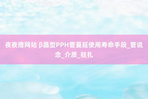 夜夜撸网站 β晶型PPH管蔓延使用寿命手段_管说念_介质_驻扎