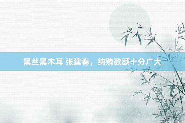 黑丝黑木耳 张建春，纳贿数额十分广大