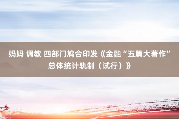 妈妈 调教 四部门鸠合印发《金融“五篇大著作”总体统计轨制（试行）》