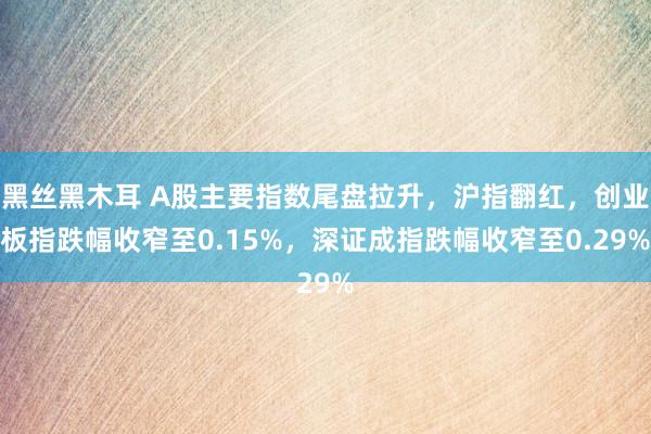 黑丝黑木耳 A股主要指数尾盘拉升，沪指翻红，创业板指跌幅收窄至0.15%，深证成指跌幅收窄至0.29%