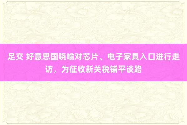 足交 好意思国晓喻对芯片、电子家具入口进行走访，为征收新关税铺平谈路