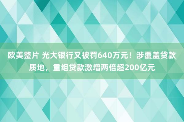 欧美整片 光大银行又被罚640万元！涉覆盖贷款质地，重组贷款激增两倍超200亿元
