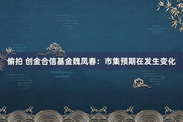 偷拍 创金合信基金魏凤春：市集预期在发生变化