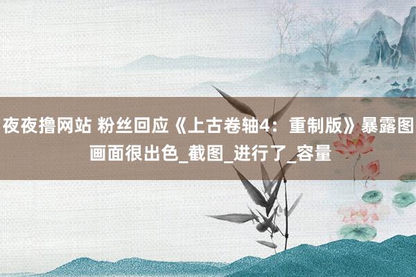 夜夜撸网站 粉丝回应《上古卷轴4：重制版》暴露图 画面很出色_截图_进行了_容量