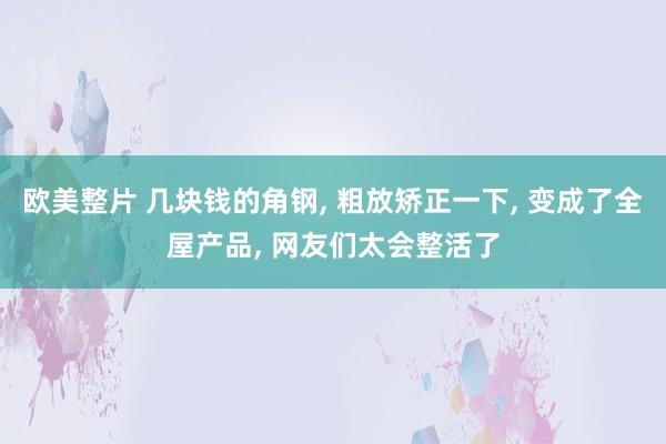 欧美整片 几块钱的角钢, 粗放矫正一下, 变成了全屋产品, 网友们太会整活了