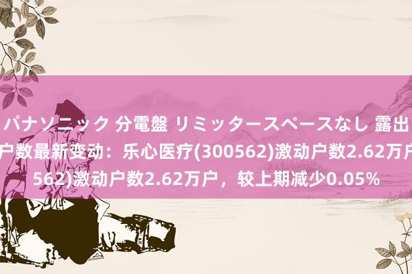 パナソニック 分電盤 リミッタースペースなし 露出・半埋込両用形 激动户数最新变